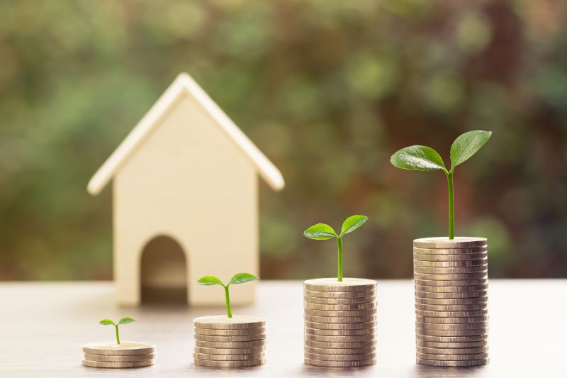 Maximize Property Value